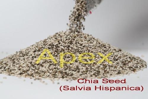 Black Chia Seed