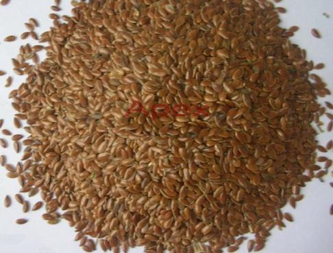 Flax Seed By APEX INTERNATIONAL
