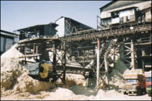Bagasse Elevator