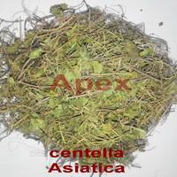 Organic Centella Asiatica Leaves