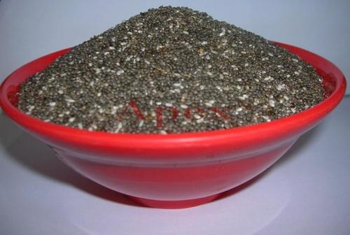 Chia Seeds Salvia Hispanica