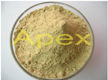 Ginger Dry Powder By APEX INTERNATIONAL