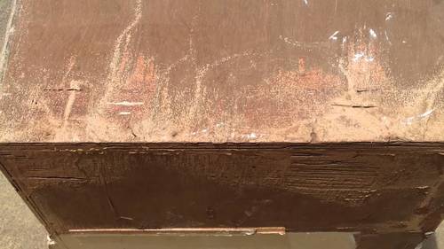 Termite resistant plywood