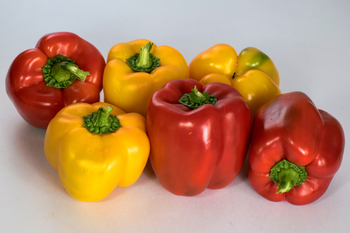 Coloured Capsicum
