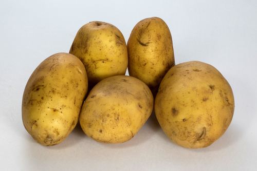 Potato