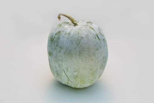 Ash gourd