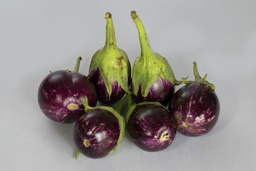 Brinjal