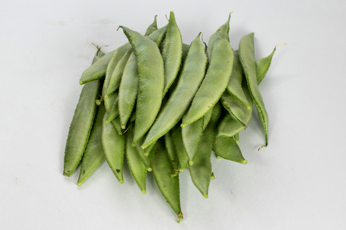 Flat Bean