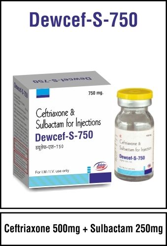 Ceftriaxone 500 mg + Sulbactum 250 mg