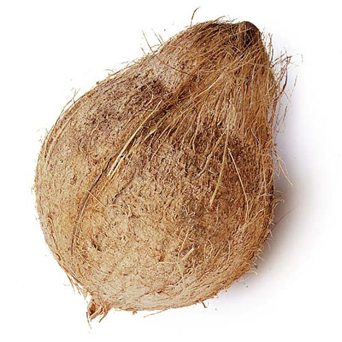 Coconut