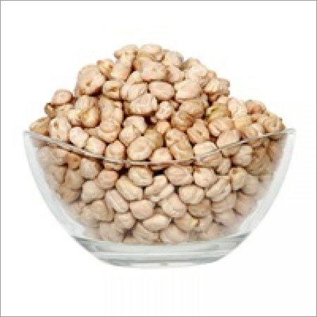 Indian Chickpea