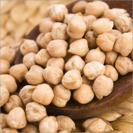 Export Qulity Chickpea