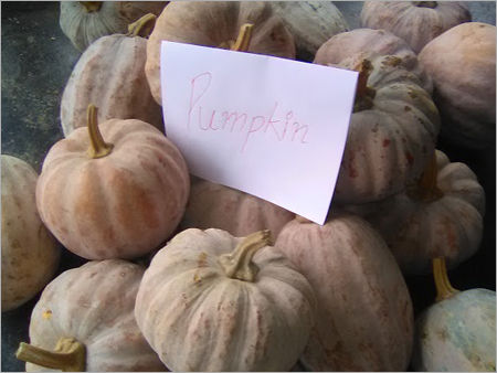 Pumpkin