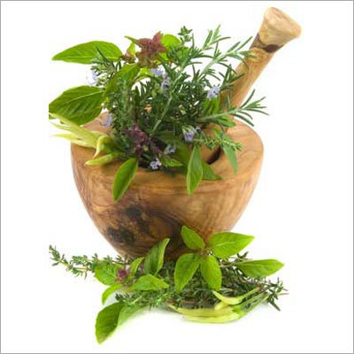 Medicine Herbs