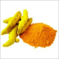Curcumin Extract