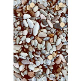 Digital Wall Tile Sea Stones