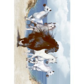 Digital Glossy Tile Grey Color