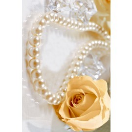 Digital Glossy Tile Yellow & White Color