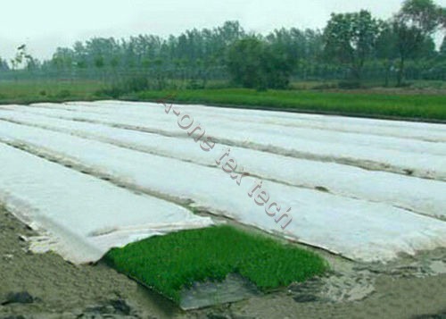 Non Woven Agricultural Fabric