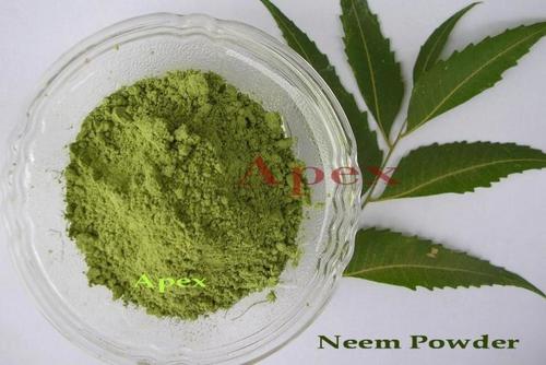 Neem Leaves Powder Shelf Life: 12 Months