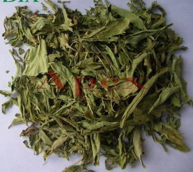 Stevia Leaves Powder