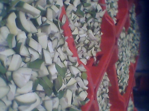 Cut Mango Pieces