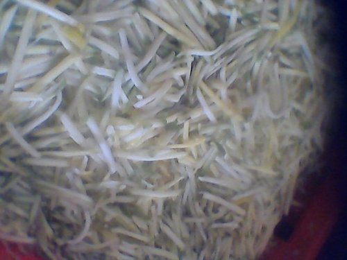 Mango Thokku