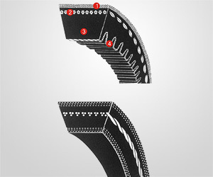 Raw edge V Belt