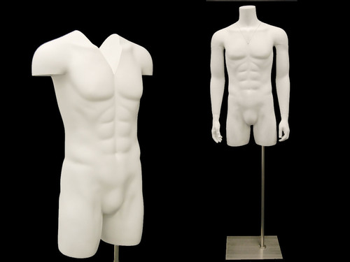 Male Torso