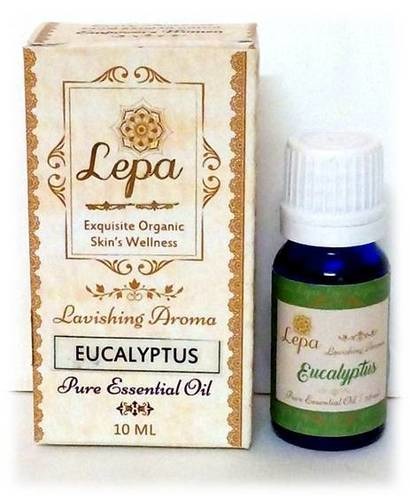 Eucalyptus Oil Extraction Course - Essential Oil Knowledge Practical Training Business Development | Correct Body Posture Detox Body & Face Improve Blood Circulation