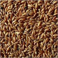 Bamboo Rice