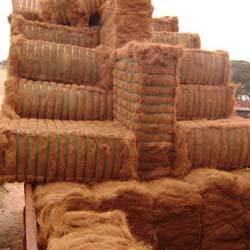 Coir Fibre