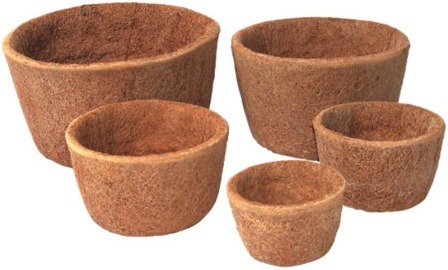 Coco Basket