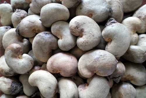Raw Cashews
