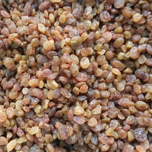Malayeri Raisins Malayeri Raisins