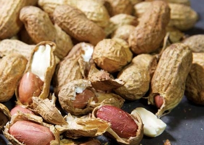 Roasted Groundnut In Shell