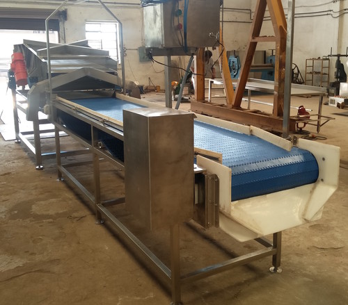 Vegetable Cleaning and Sorting Conveyor