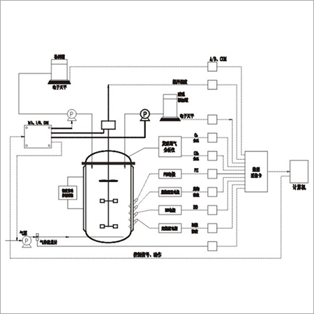 Automatic Biology Fermentation Project Production Line