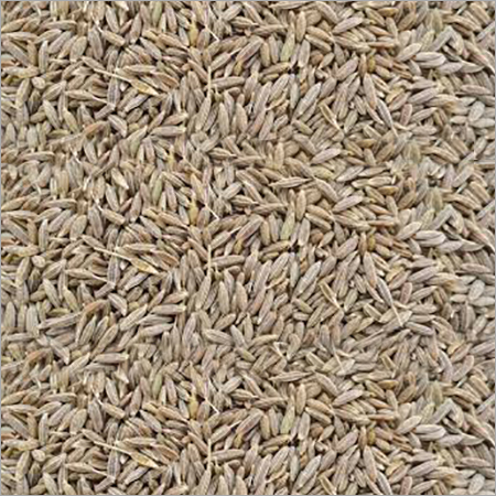 Cumin Seed