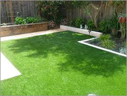 Art Grass