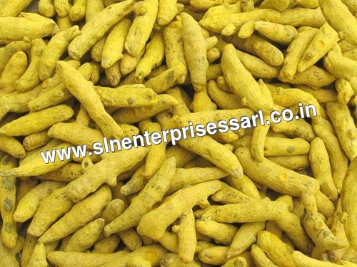 Double Polished Turmeric Finger