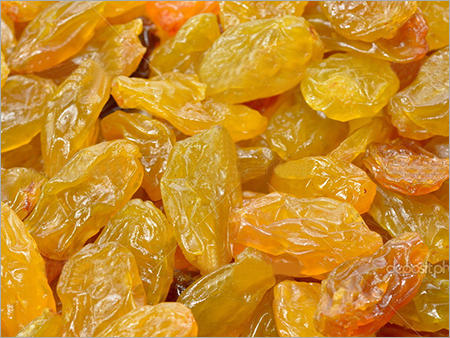 Yellow Raisin
