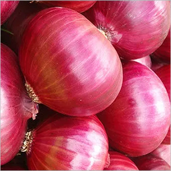 Farm Fresh Onion
