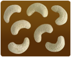 210 Scorched Whole Cashews