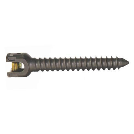 Monoaxial Screw