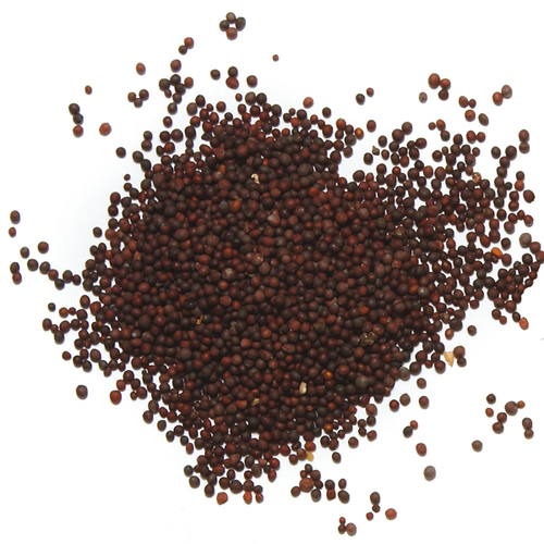 Mustard Seed