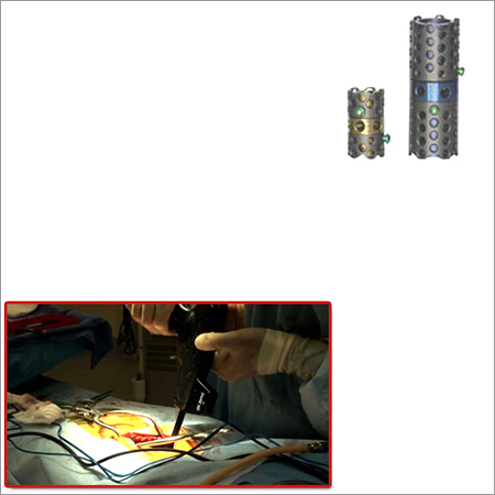 Spine Expandable Cage for Spinal Reconstruction