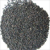 Bawchi Seed