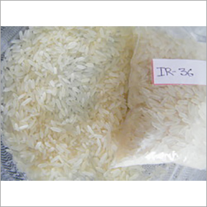 IR - 36 Rice 