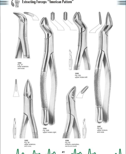 Extracting Forceps with "American Pattern"